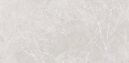 Pale grey-white marble-look tile with fine white veins
